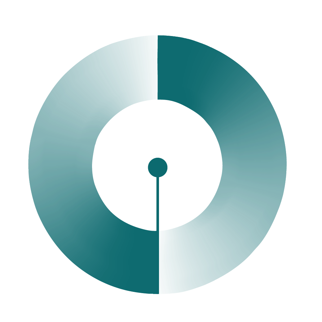 Erasmus Mundus Joint Master in IPCVai Logo