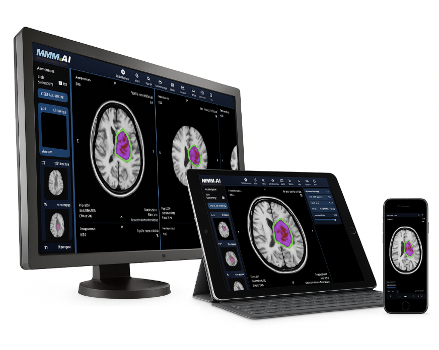 Web-Based Framework for Generalizable Brain Tumor Segmentation